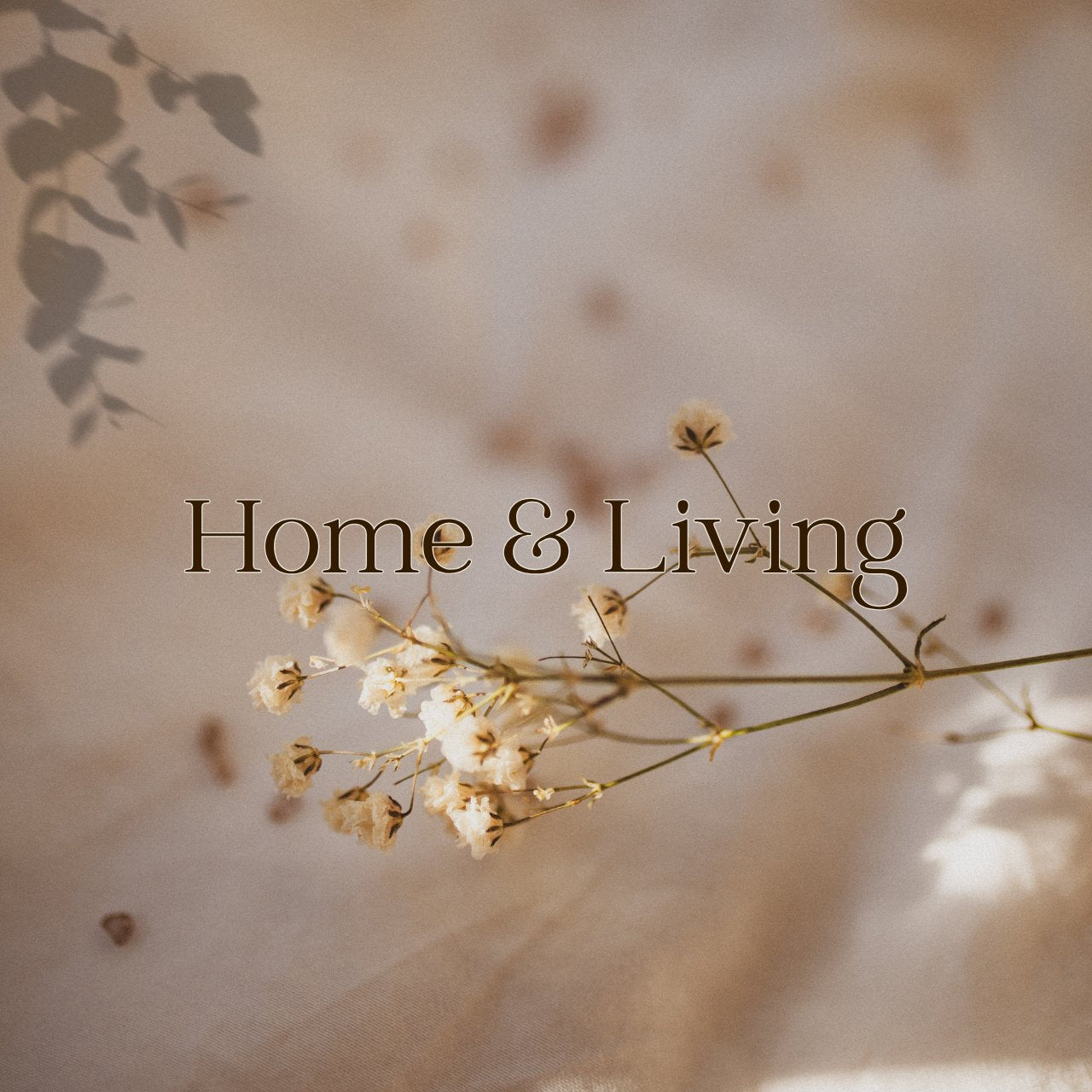 Home & Living